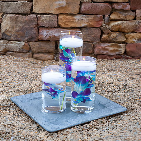 Easy Dendrobium Orchid Centerpiece