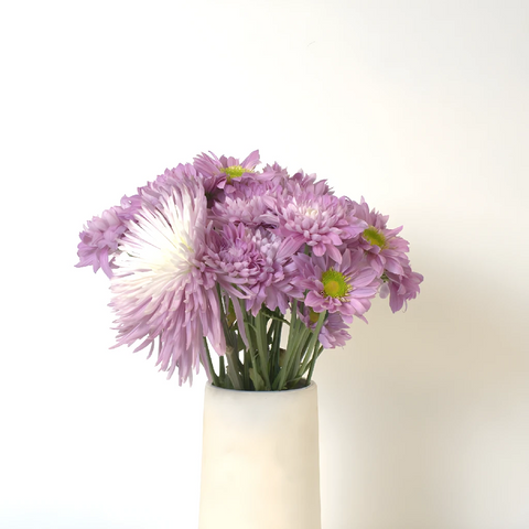 Buy Wholesale Sugar Plum Fairy Flower Pack in Bulk - FiftyFlowers
