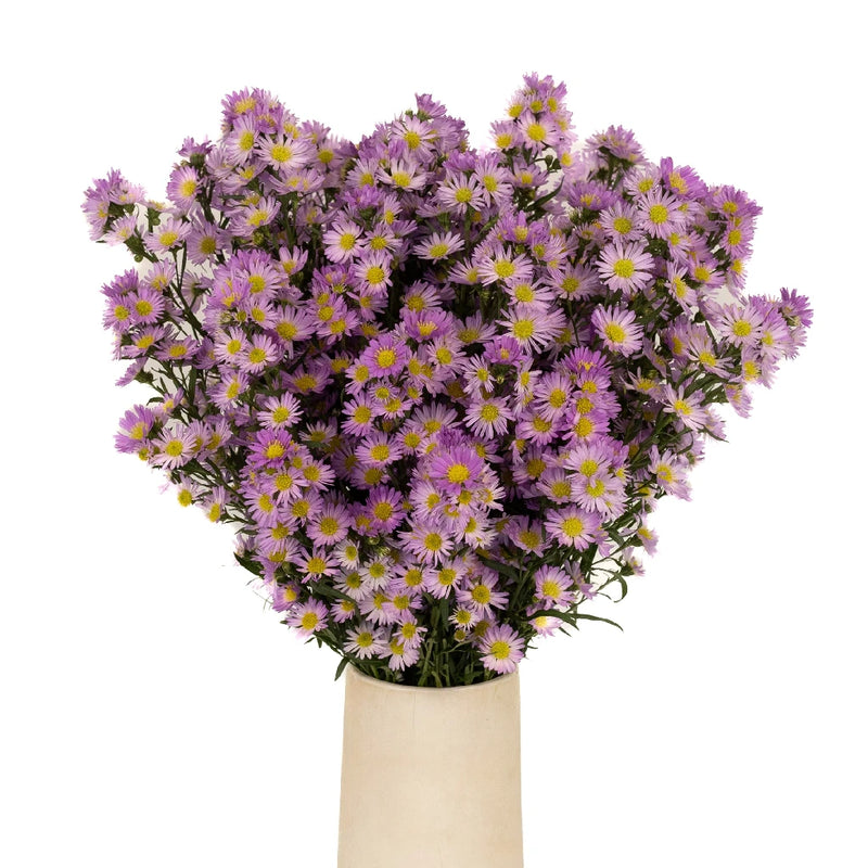 Sugar Plum Pink Spray Aster Vase - Image