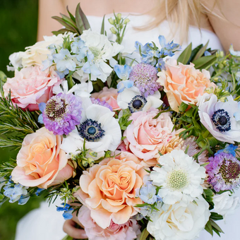 Sugar Plum Flower Collection