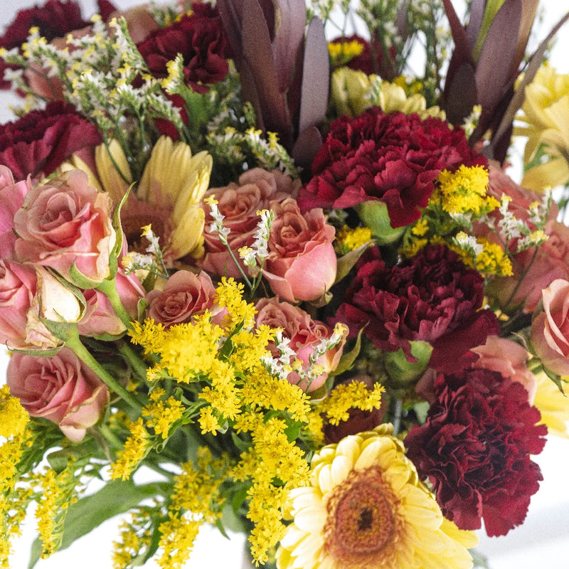 Summer Harvest Combo Pack Close Up - Image