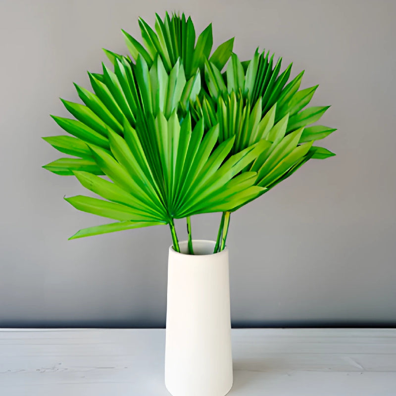 Emerald Green Dried Sun Palm