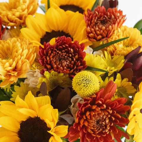 Sunflower And Mum Bouquet Bar Close Up - Image