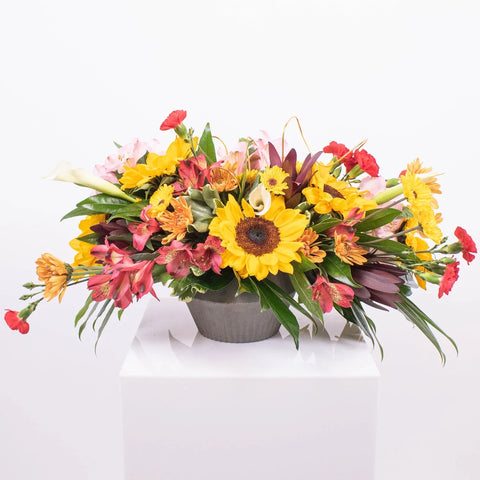 Sunflower Online DIY Flower Design Class Kit