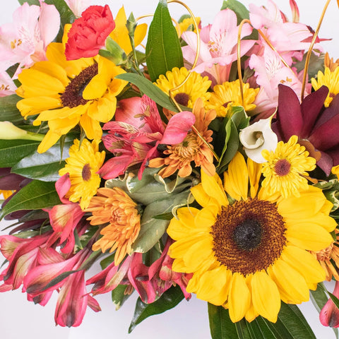 Sunflower Online DIY Flower Design Class Kit