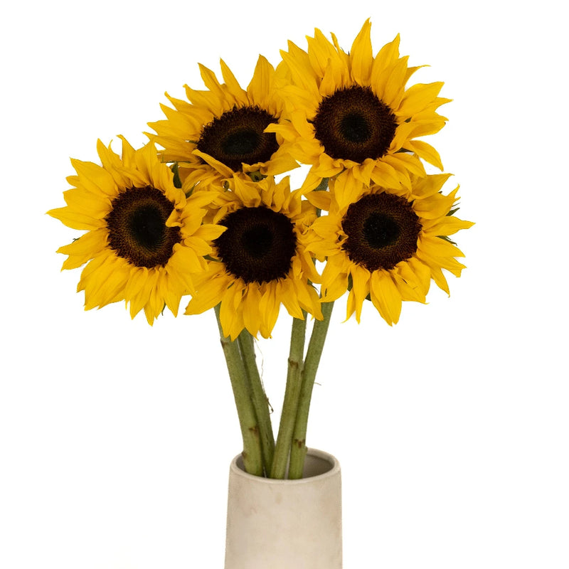 Sunflowers Vase - Image