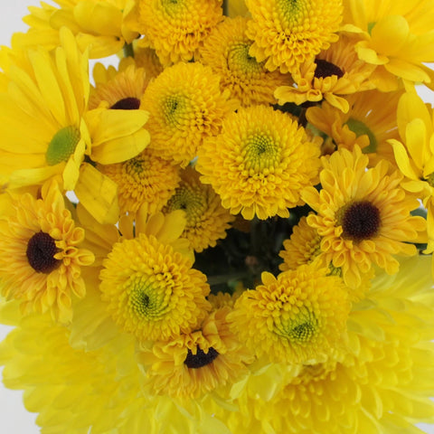 Sunny Flower Days Pom Pack Close Up - Image