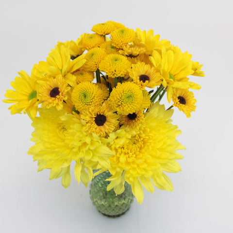 Sunny Flower Days Pom Pack Stem - Image