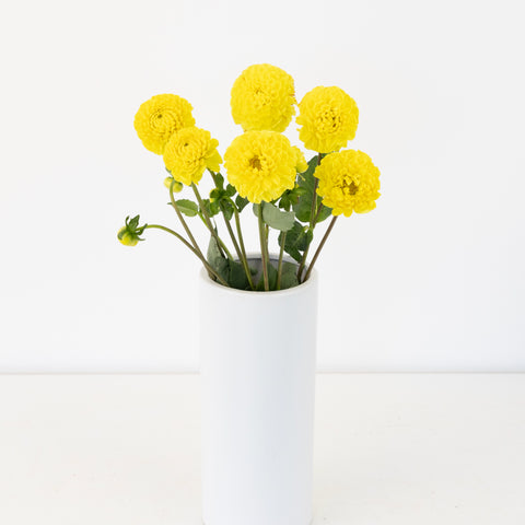 Sunny Yellow Dahlia Flower Vase - Image