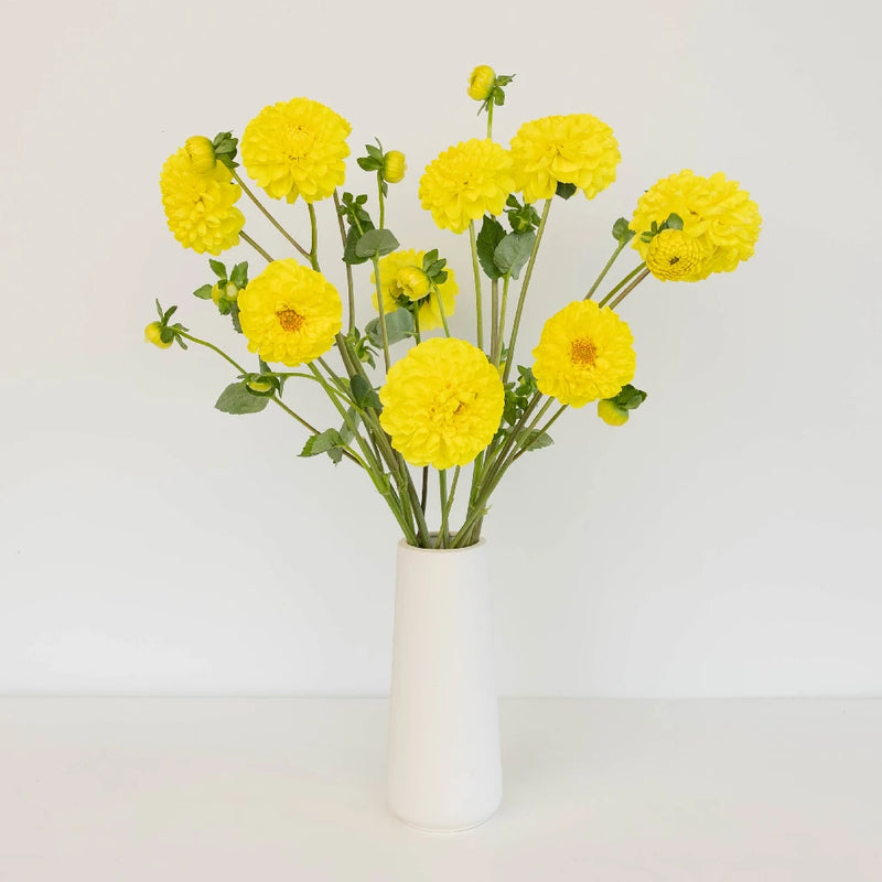 Sunny Yellow Dahlia Flower Vase - Image