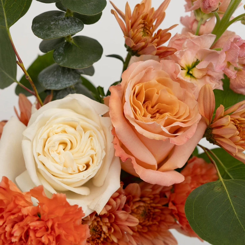 Sunrise Carnations Bouquet Bar Close Up - Image