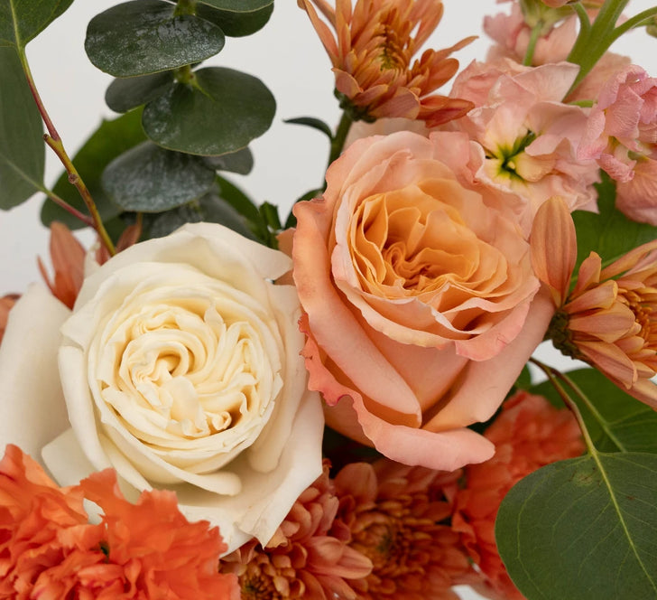 Sunrise Carnations Bouquet Bar Close Up - Image