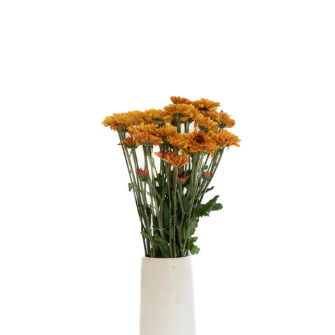 Sunset Viking Pom Flower Vase - Image