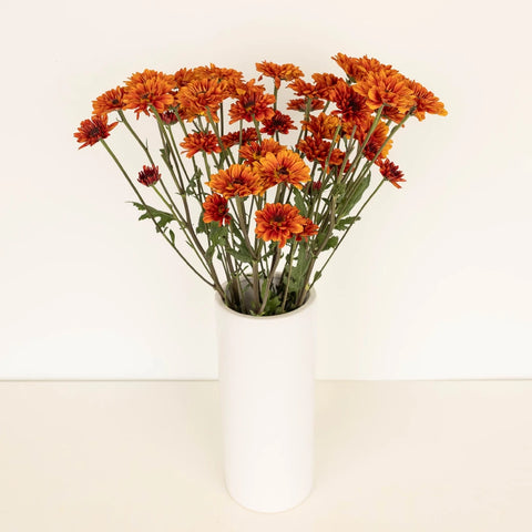 Sunset Viking Pom Flower Vase - Image