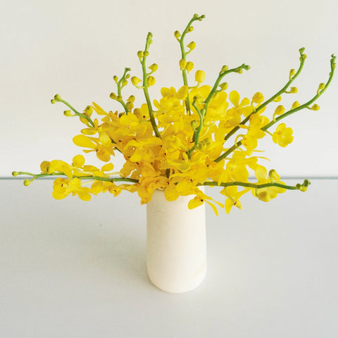 Sunshine Bright Yellow Mokara Orchid Vase - Image