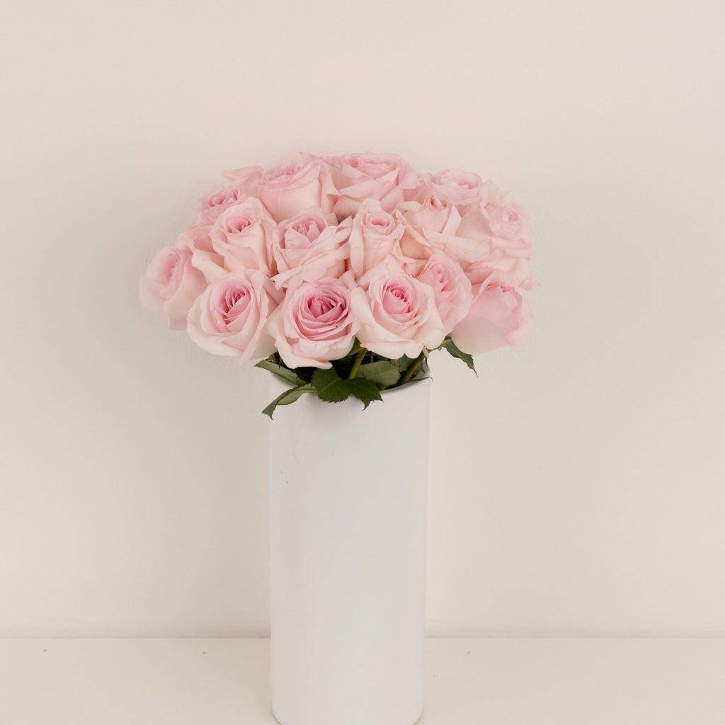 フラワーリース petit rosé AKIKO Buy Wholesale Sweet Akito Light Pink Rose in Bulk - FiftyFlowers
