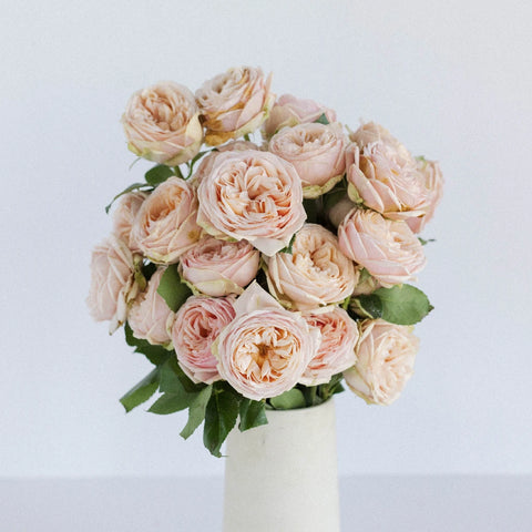 Sweet Catalina Garden Rose Vase - Image