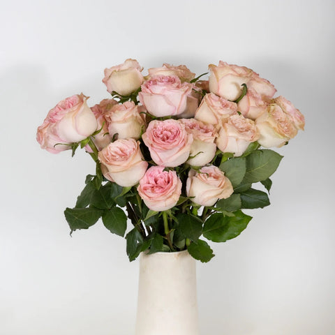 Sweet Elegance Bicolor Rose Vase - Image