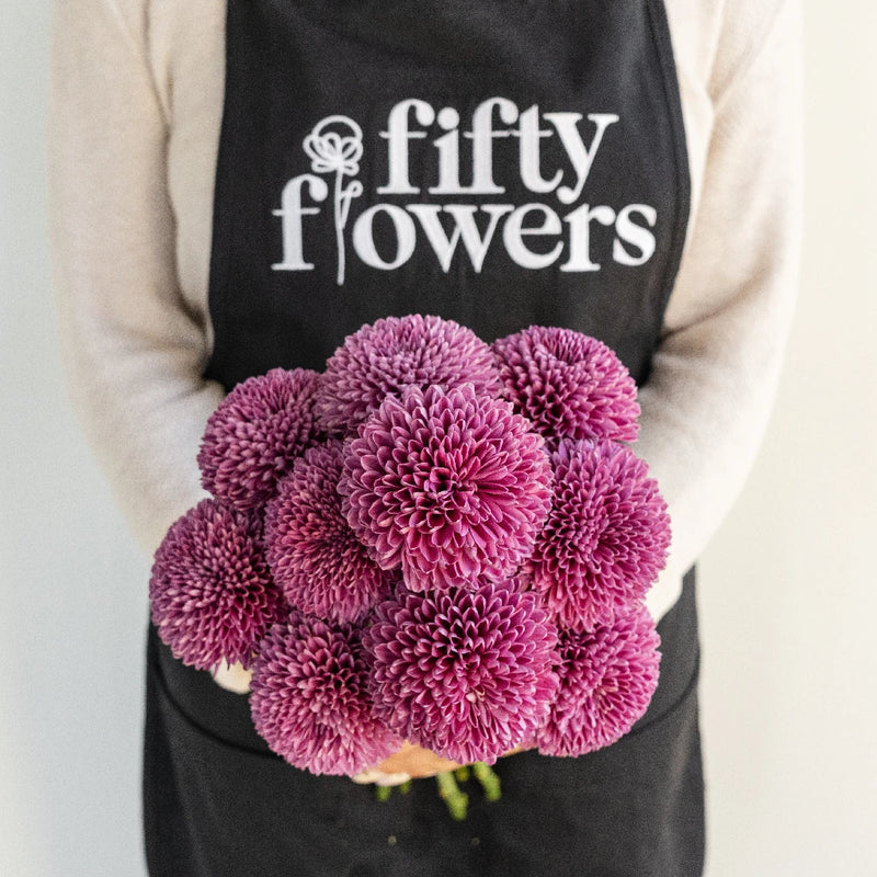 Sweet Ganache Bahlia Flower Apron - Image