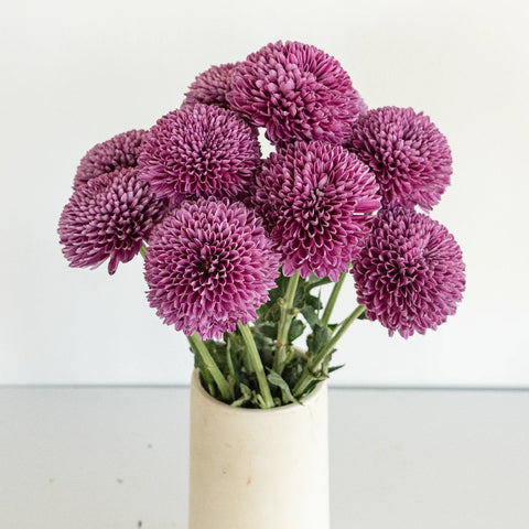 Sweet Ganache Bahlia Flower Vase - Image