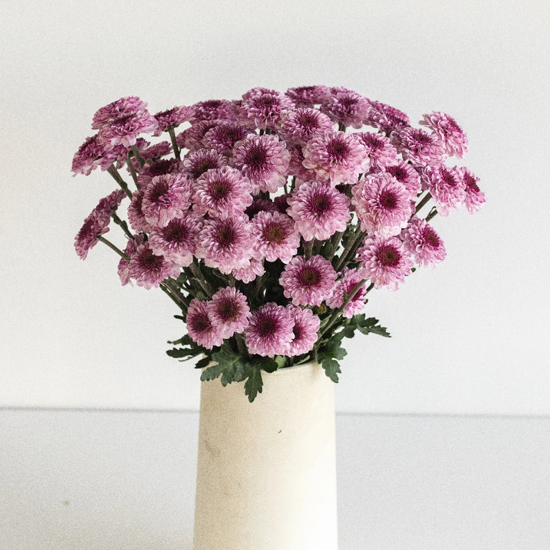 Sweet Lilac Button Pom Vase - Image