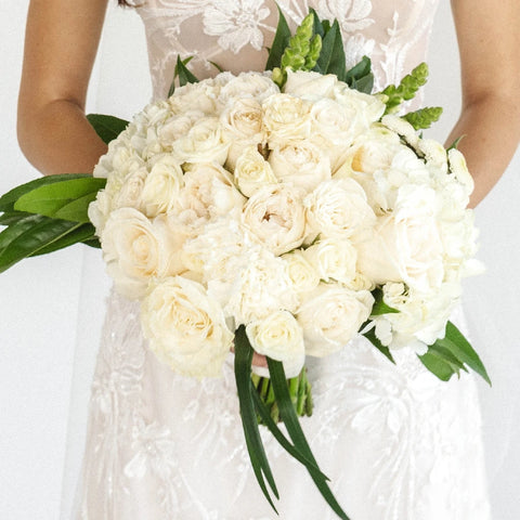 Sweet Nothings Wedding Collection - Image