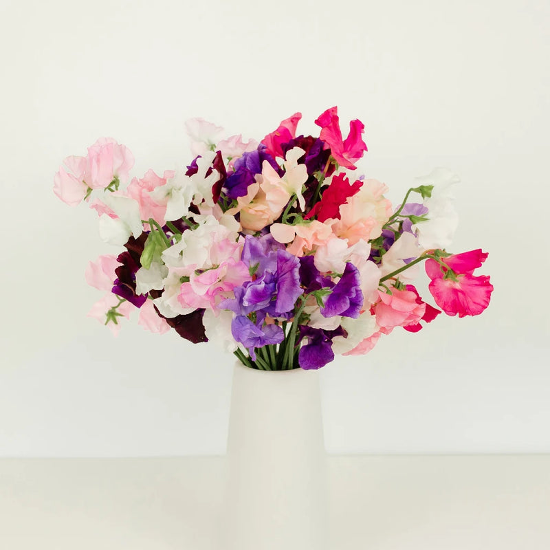 Sweet Pea Mix For Arranging Stem - Image