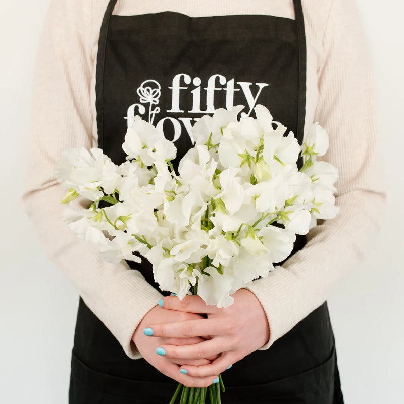 Sweet Pea White Flower - Image