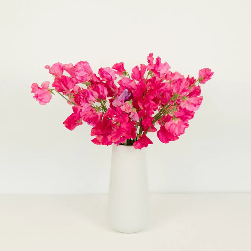 Sweet Peas Dark Pink Flower Vase - Image