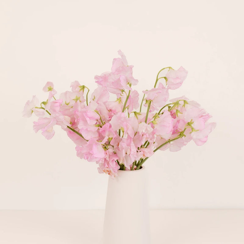 Sweet Peas Light Pink Flower Vase - Image