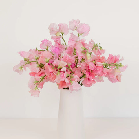 Sweet Peas Pink Flower Vase - Image