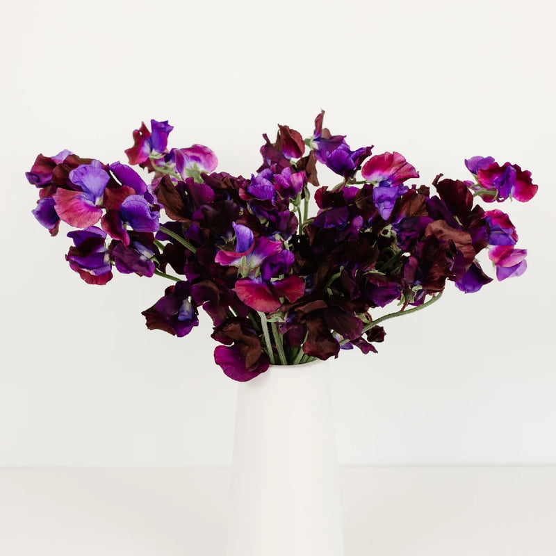 Sweet Peas Viola Purple Flower Apron - Image