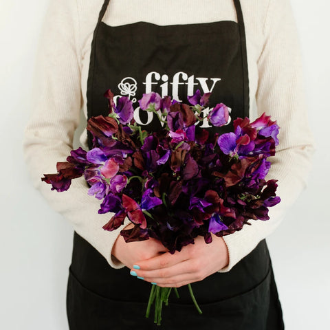 Sweet Peas Viola Purple Flower - Image