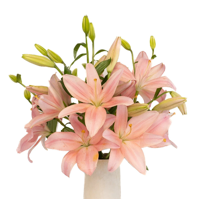 Sweet Satin Hybrid Lily Vase - Image