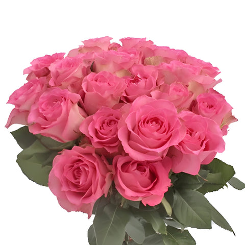 Sweet Unique Pink Rose Vase - Image