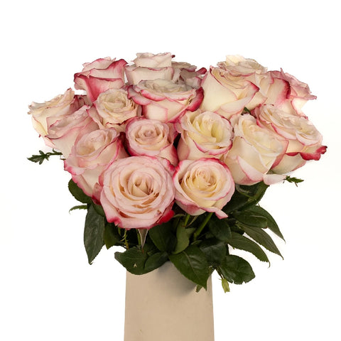 Sweetness Pink Frills White Rose Vase - Image