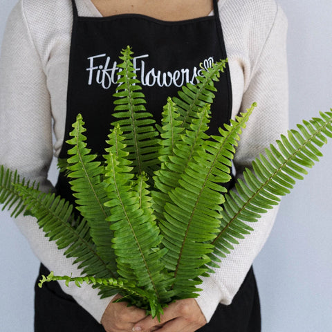 Sword Fern Greens Apron - Image