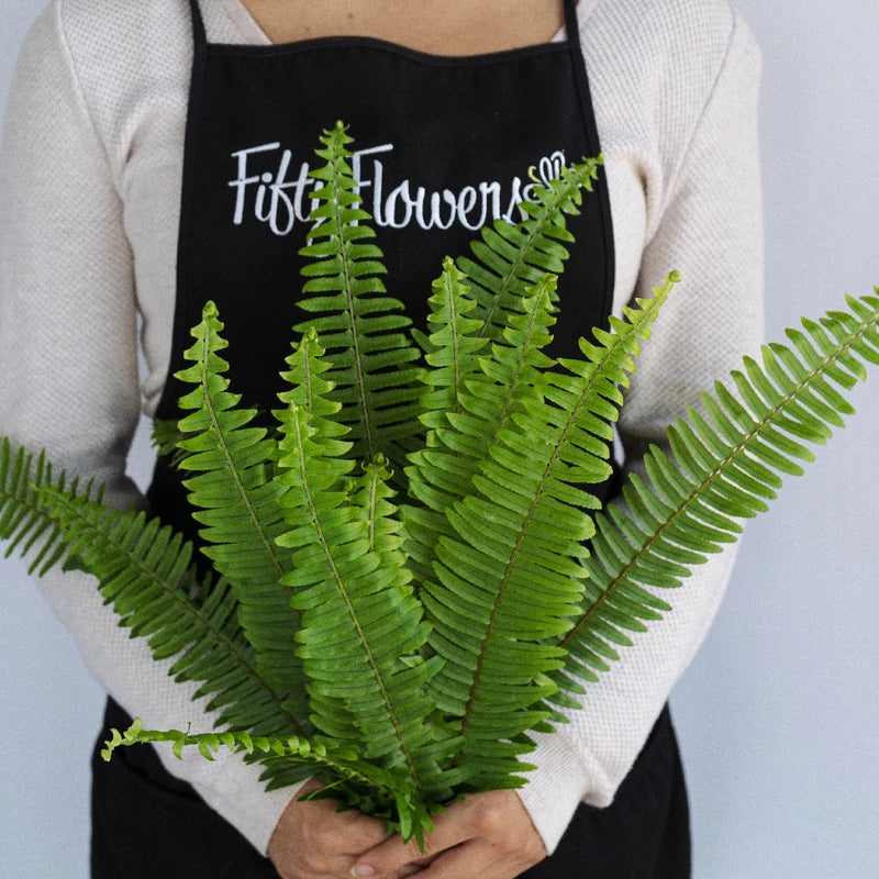 Sword Fern Greens Apron - Image