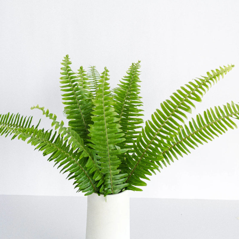 Sword Fern Greens Vase - Image
