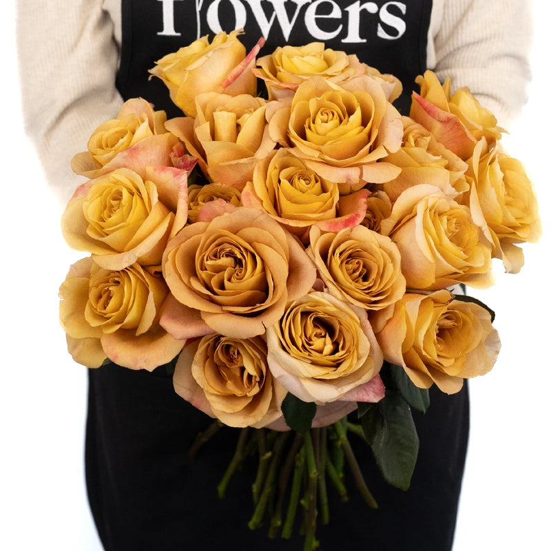 Symbol Apron - Image