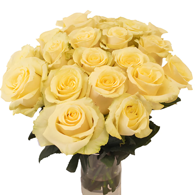 Whipped Butter Takini Cream Rose