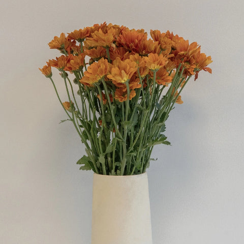Tangerine Mini Daisy Flower Vase - Image