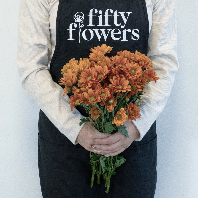 Tangerine Mini Daisy Flower - Image