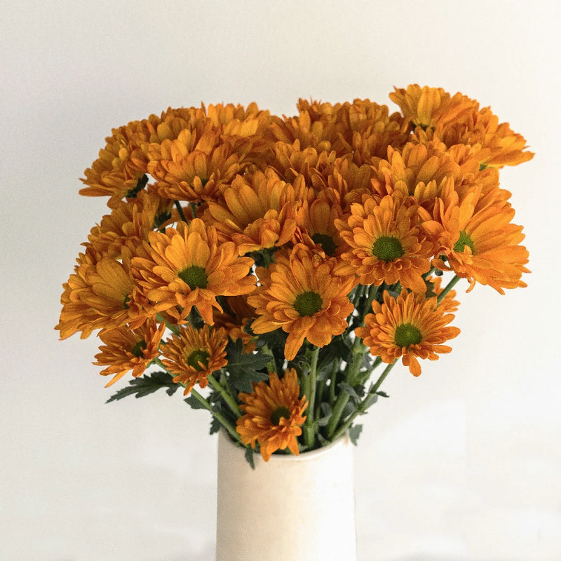 Tangerine Orange Wedding Daisy Flower Vase - Image