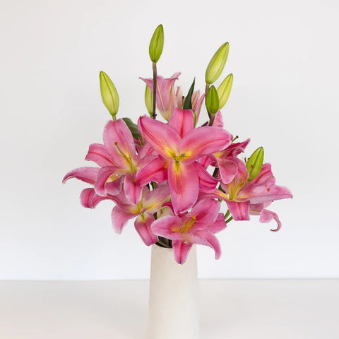 Tarango Watermelon Pink Oriental Lily Vase - Image