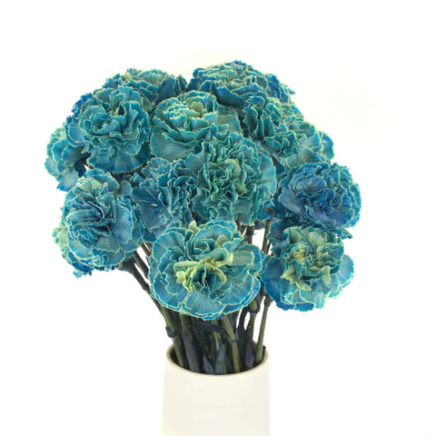 Teal Coral Carnation Flower Stem - Image