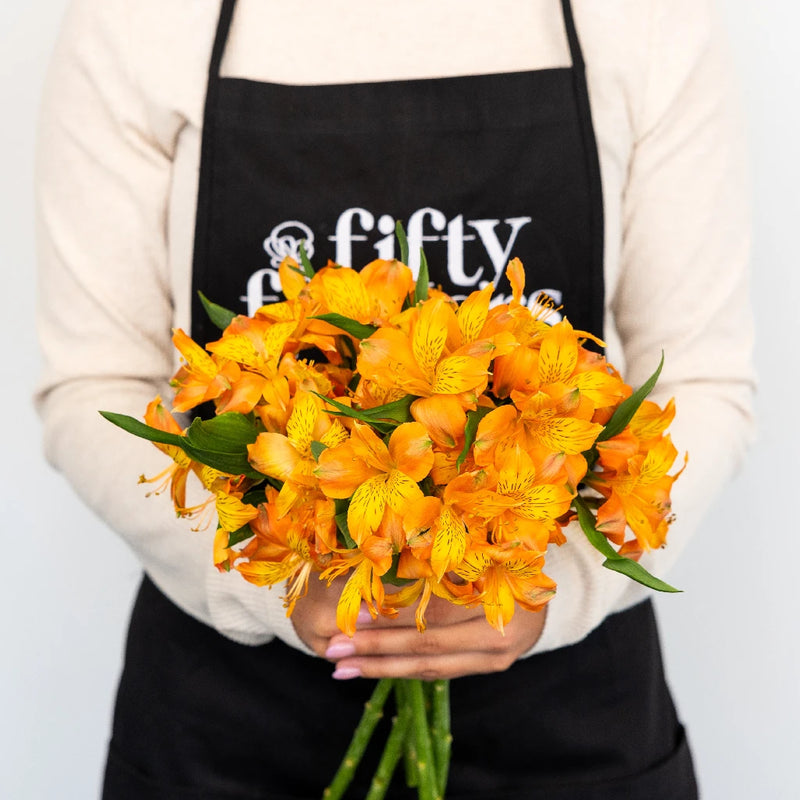 orange lily flower delivery Buy Wholesale Terracotta Orange Peruvian Lilies in Bulk