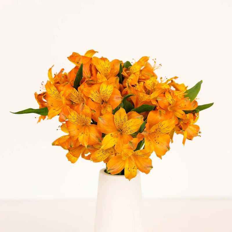 Terracotta Orange Peruvian Lily Flower Vase - Image