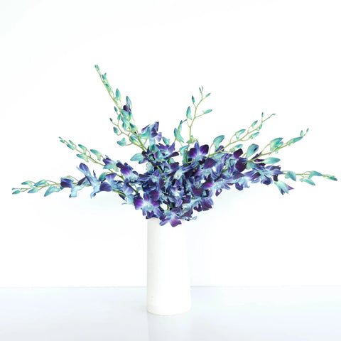 Tie Dye Dendrobium Orchids Vase - Image