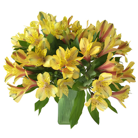 Tiger Stripe Peruvian Lilies Alstromeria Flowers Bouquet